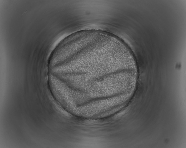 X0000092211075200710051132