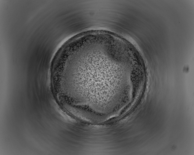 X0000092211076200710051132