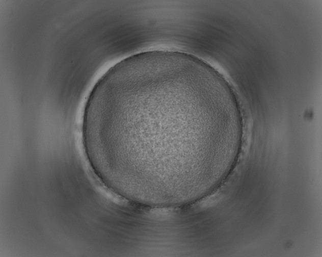 X0000092211078200710051132