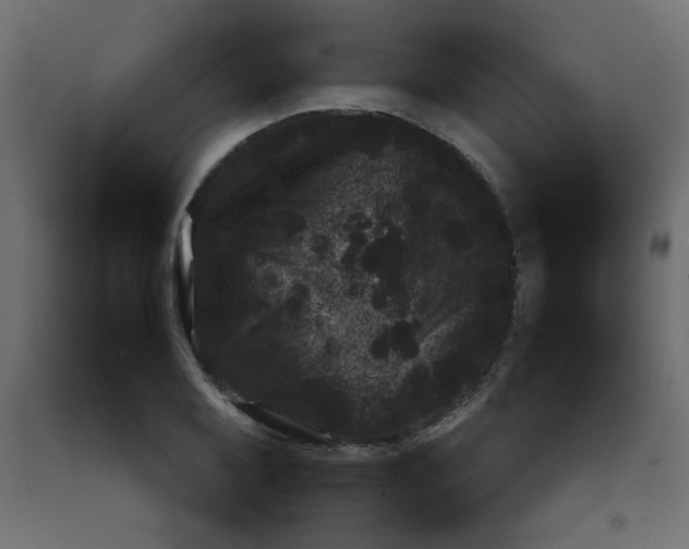 X0000092211079200710051132