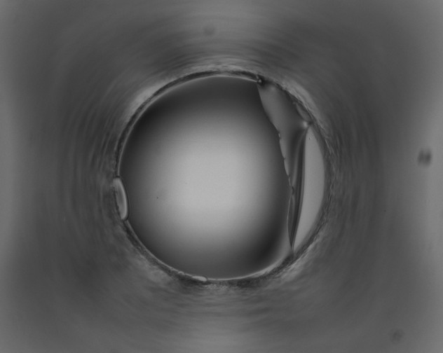 X0000092211081200710051132