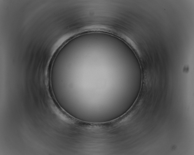 X0000092211082200710051132