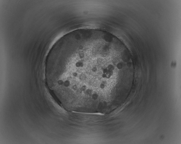 X0000092211083200710051131