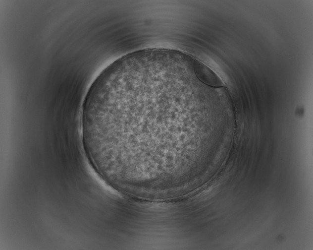 X0000092211084200710051131