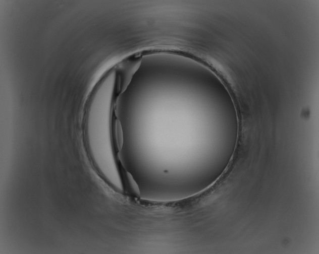 X0000092211085200710051131