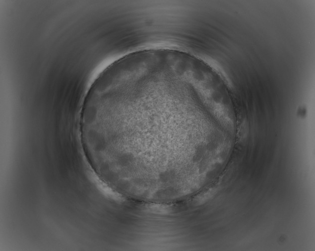 X0000092211086200710051131