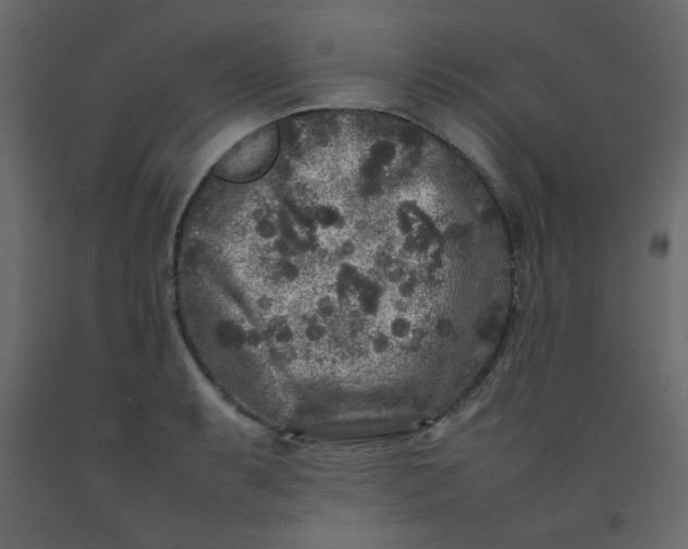 X0000092211087200710051131