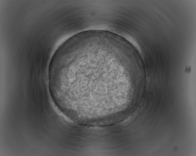 X0000092211088200710051131