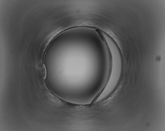 X0000092211089200710051131