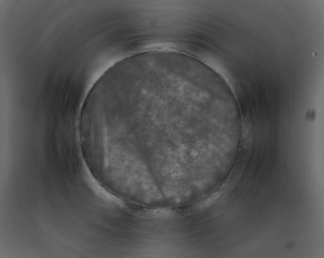 X0000092211090200710051131