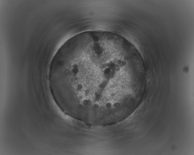 X0000092211091200710051131