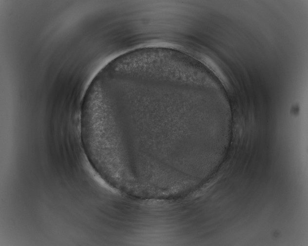 X0000092211092200710051131