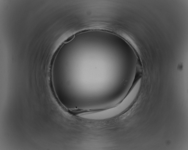 X0000092211093200710051131