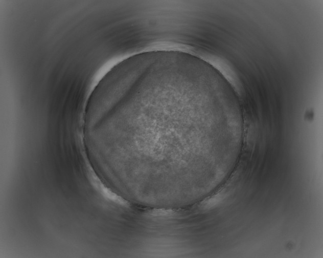 X0000092211094200710051131