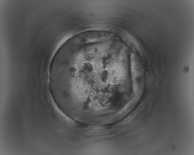 X0000092211095200710051131