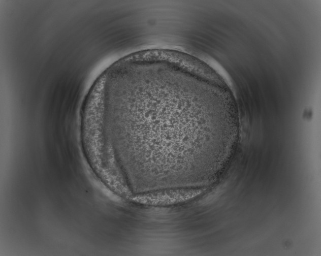 X0000092211096200710051131