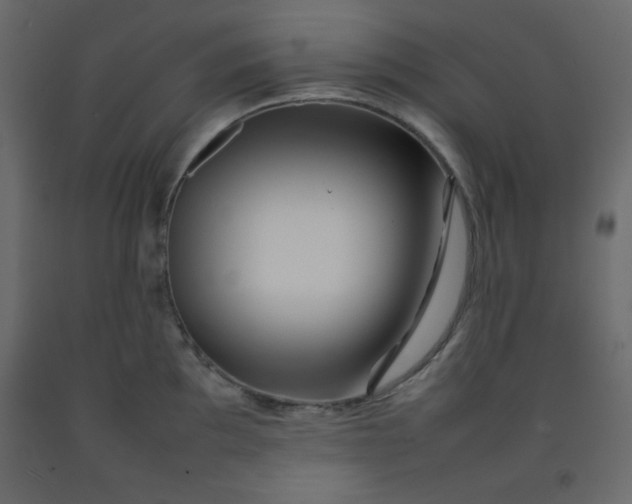 X0000092211097200710051131