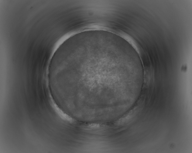 X0000092211098200710051131