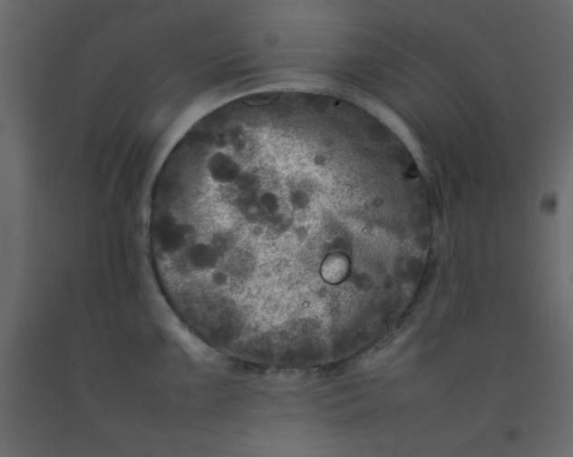 X0000092211099200710051131