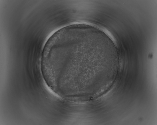 X0000092211100200710051131