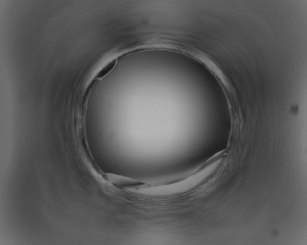 X0000092211101200710051131