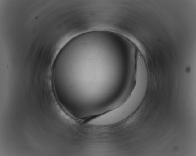 X0000092211102200710051131