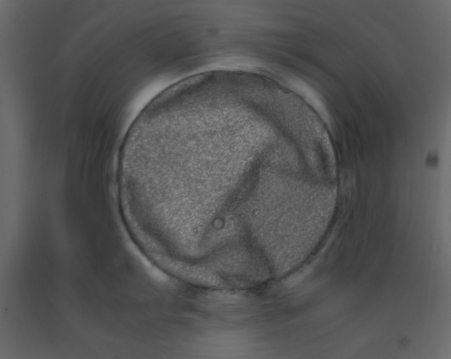 X0000092211103200710051131