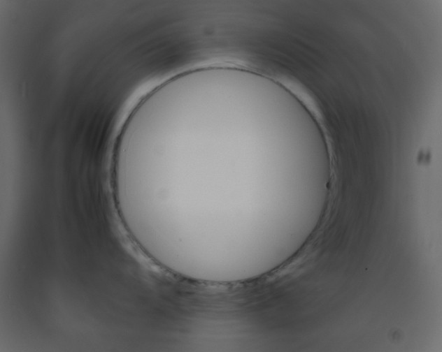 X0000092211104200710051131