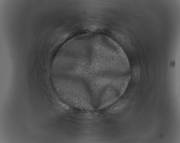 X0000092211105200710051131