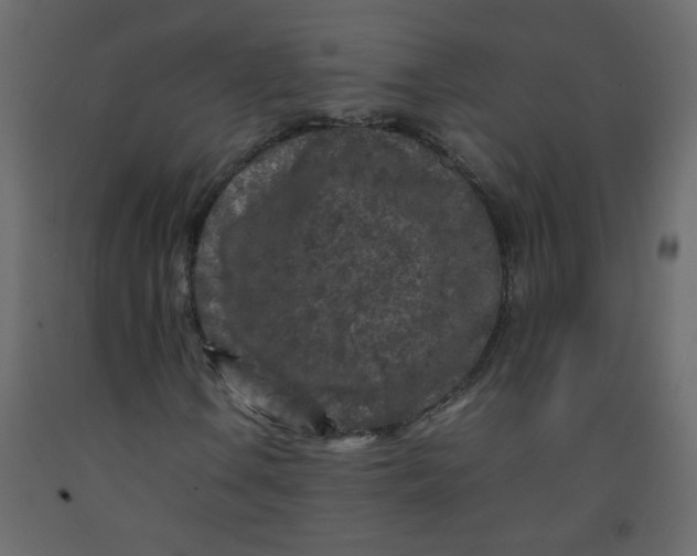 X0000092211106200710051131