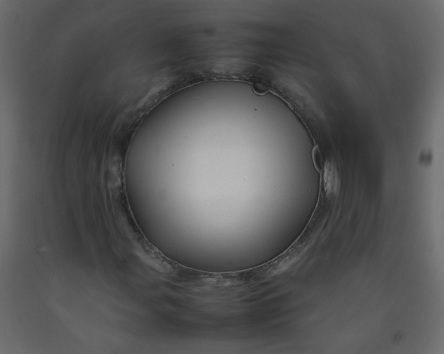 X0000092211107200710051131