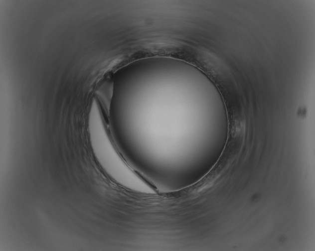 X0000092211108200710051131