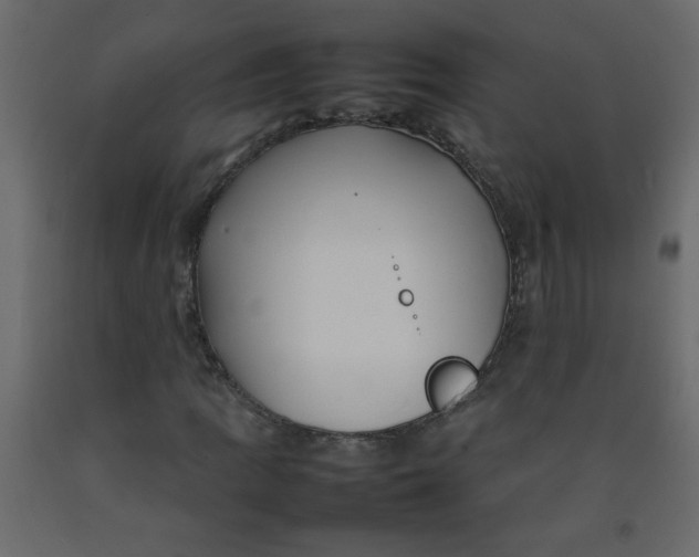 X0000092211109200710051131