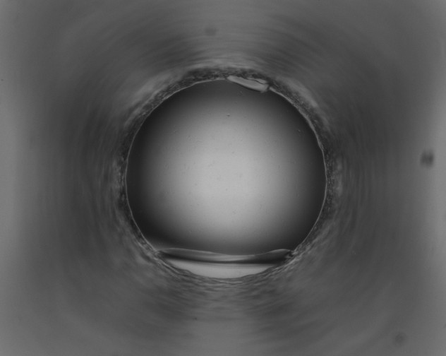 X0000092211110200710051131