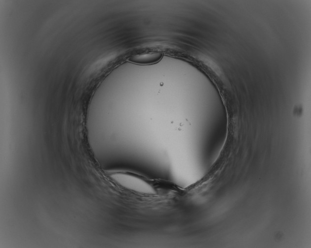 X0000092211111200710051131