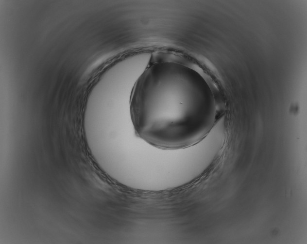 X0000092211112200710051131