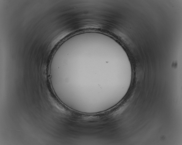 X0000092211113200710051131