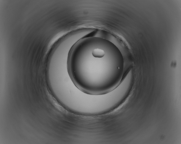 X0000092211114200710051131