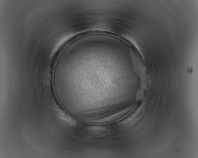 X0000092211115200710051131