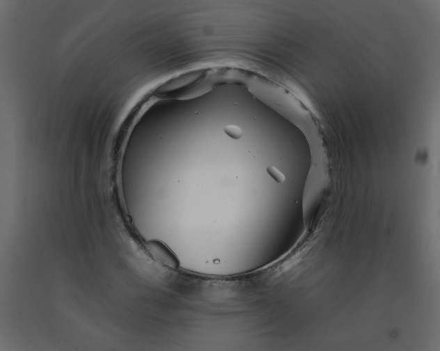 X0000092211116200710051131