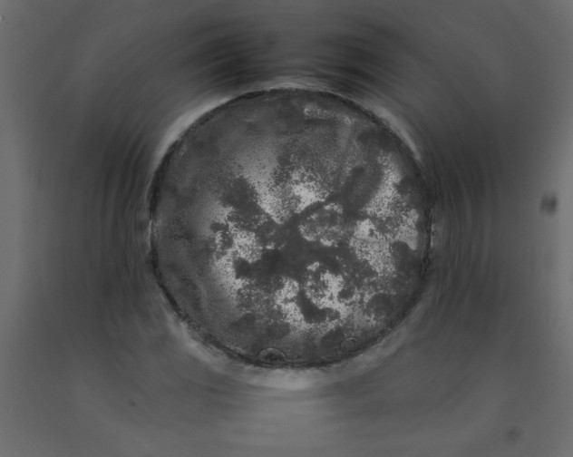 X0000092211117200710051131