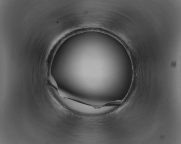 X0000092211118200710051131