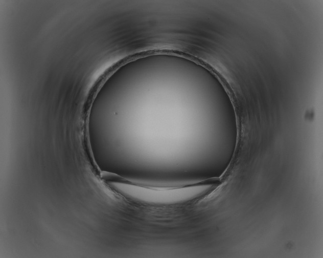 X0000092211119200710051131