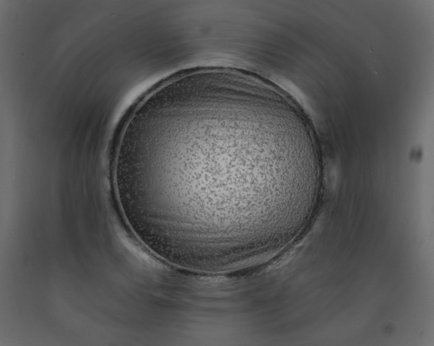 X0000092211120200710051131