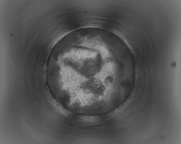 X0000092211121200710051131