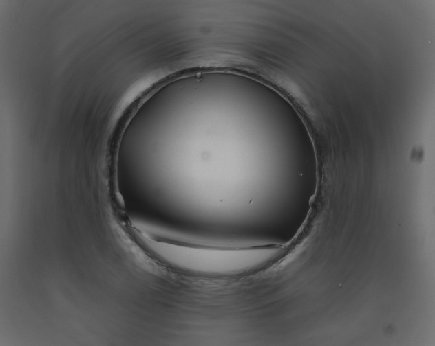 X0000092211122200710051131