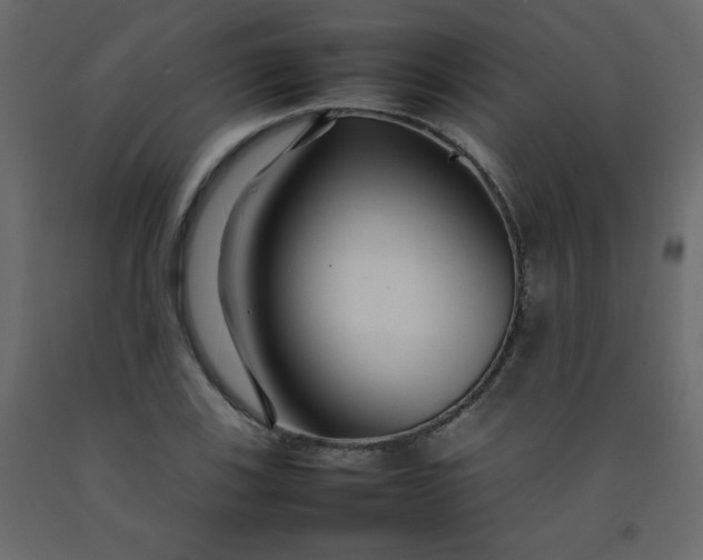 X0000092211123200710051131