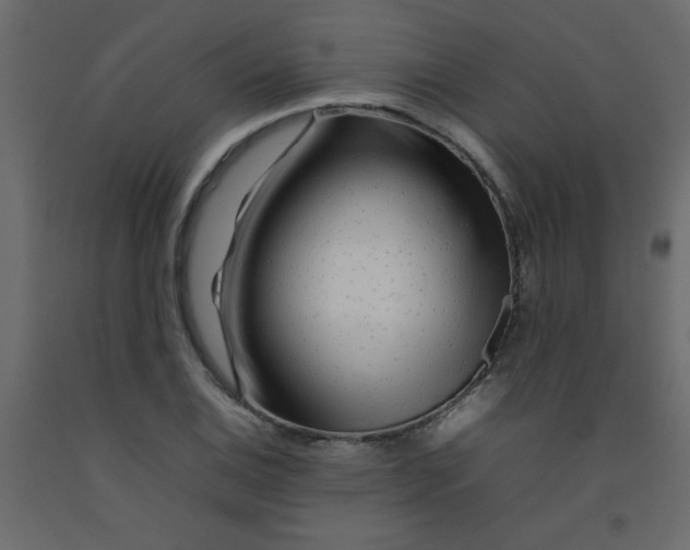 X0000092211124200710051131