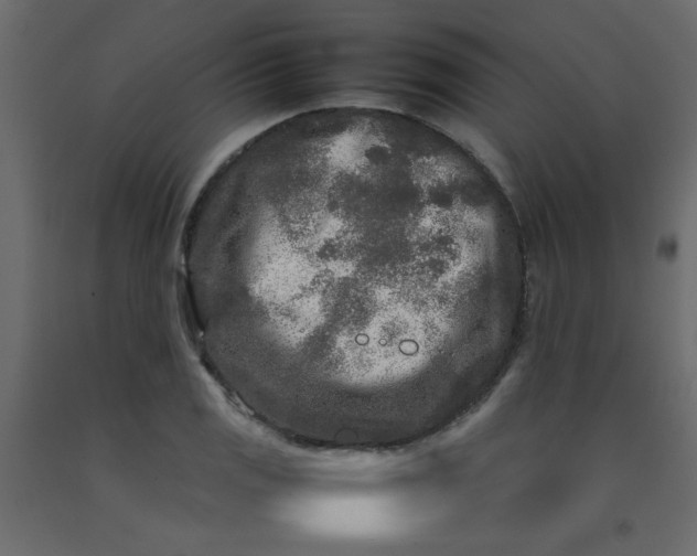 X0000092211125200710051131