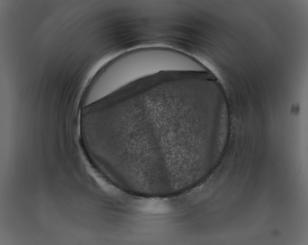 X0000092211127200710051131